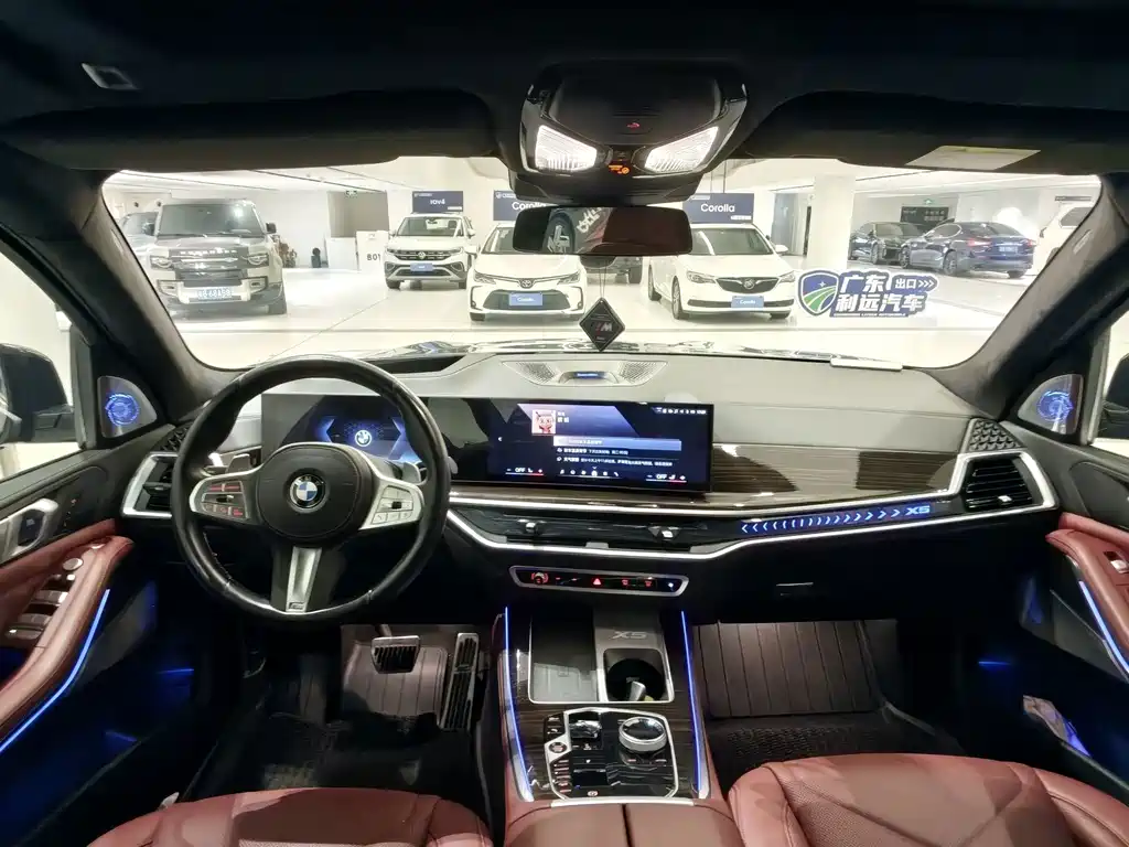 BMW X5 — миниатюра 7