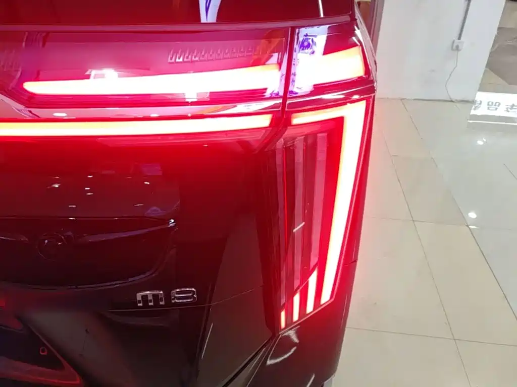 GAC Motor Trumpchi M8 — миниатюра 8
