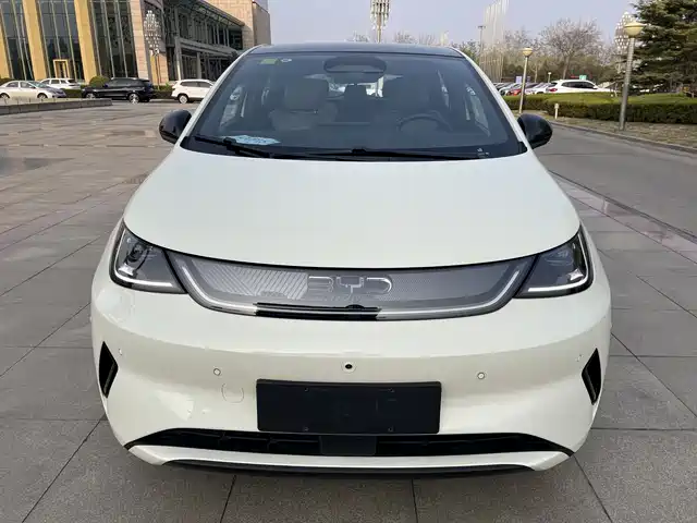 BYD DOLPHIN 2025