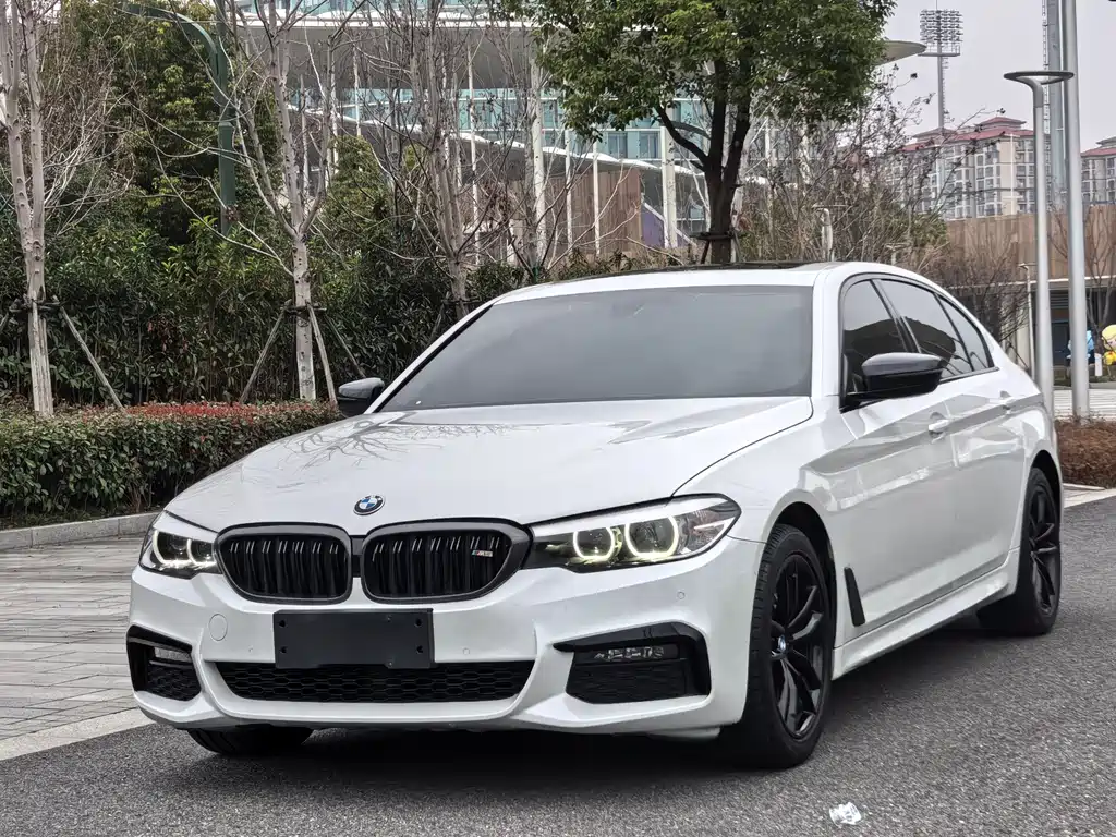 BMW 5 SERIES