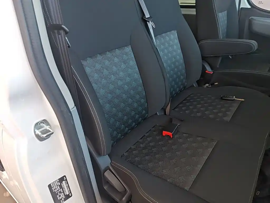 MAXUS V80 — миниатюра 25