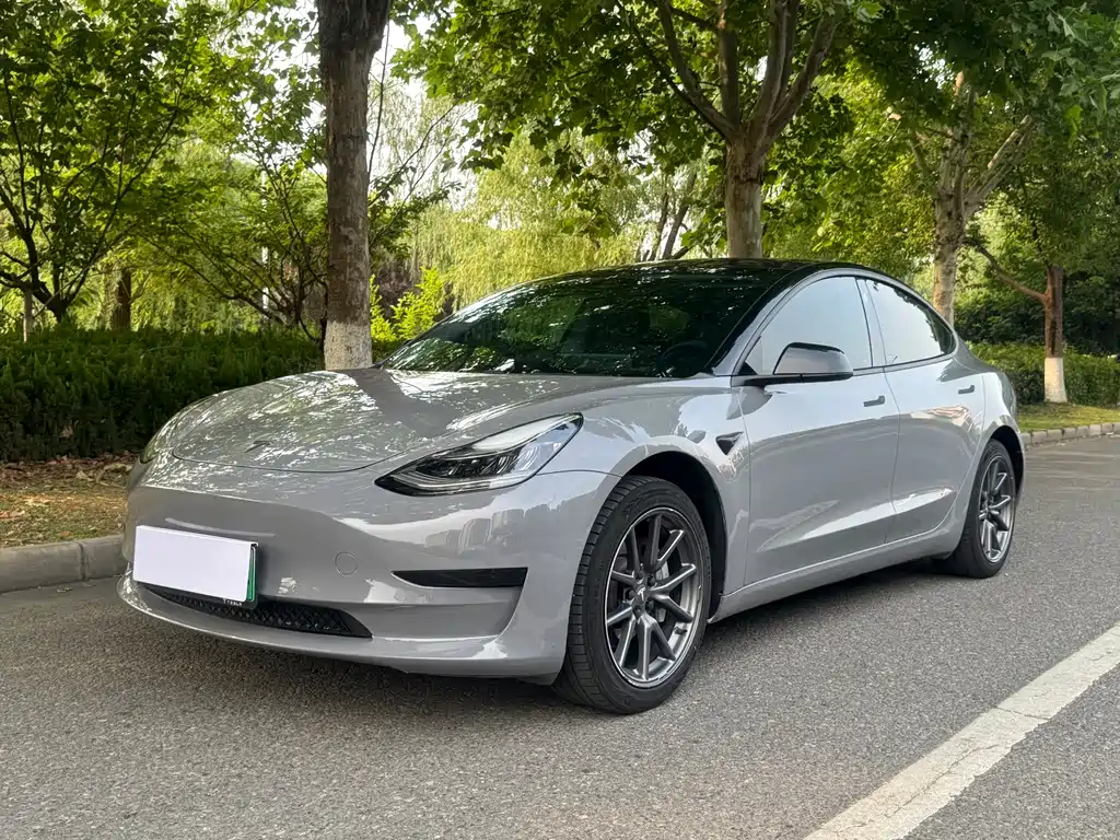 Tesla Model 3 2020