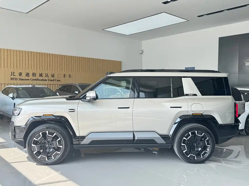 FANG CHENG BAO LEOPARD 8