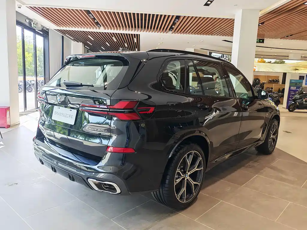 BMW X5 — миниатюра 7