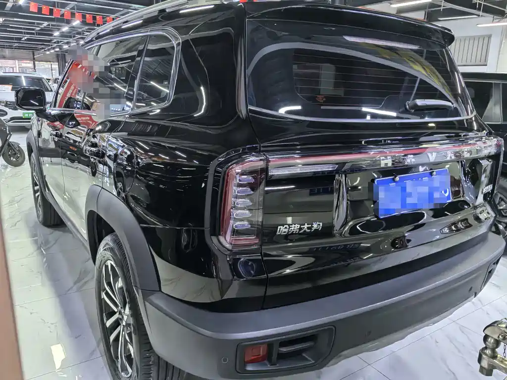 Haval Big Dog — миниатюра 4