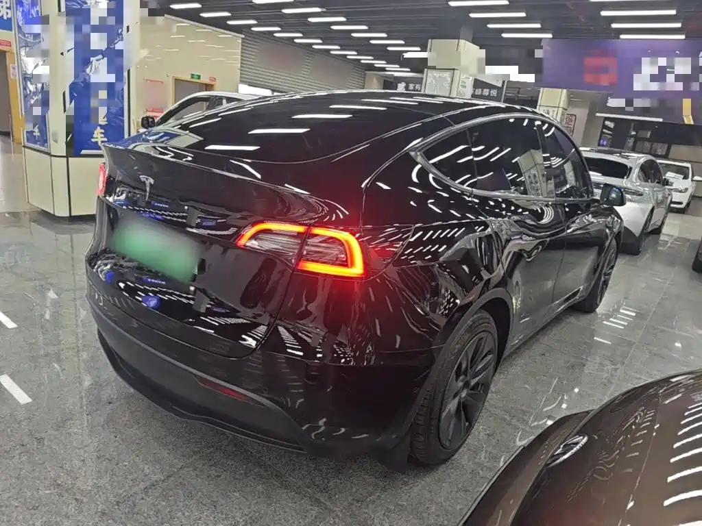 Tesla Model Y — миниатюра 7