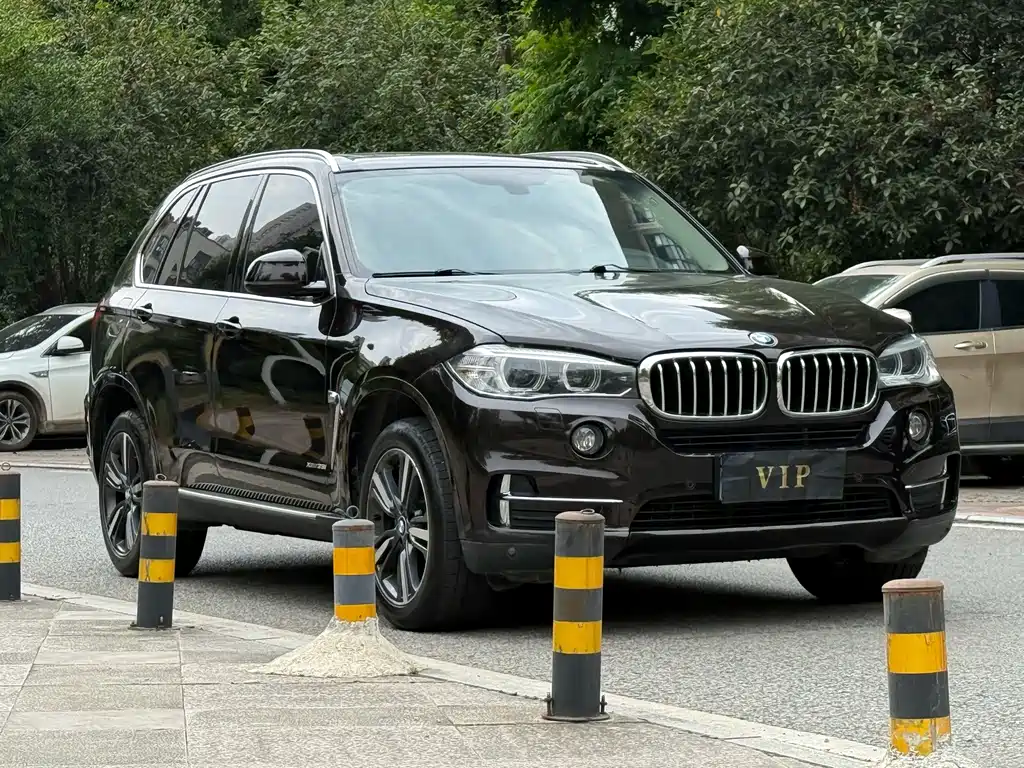 BMW X5 (Import) — миниатюра 2