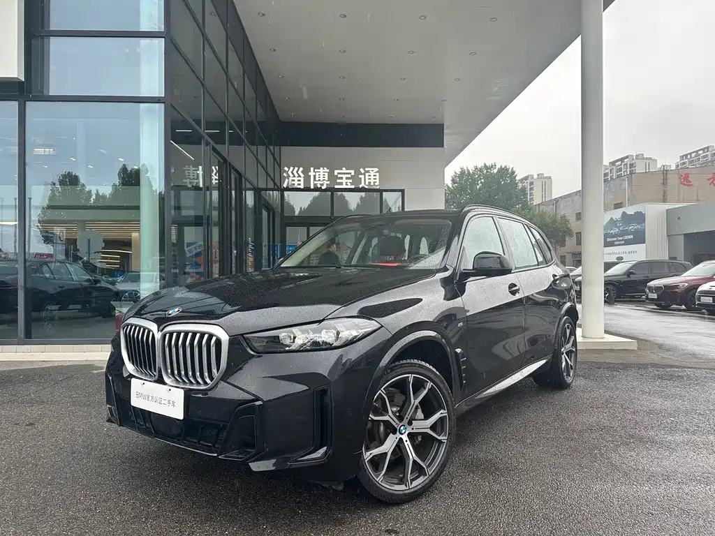BMW X5 — миниатюра 4