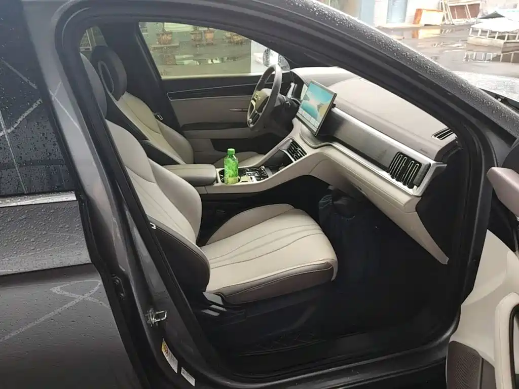 BYD PLUS New Energy — миниатюра 25