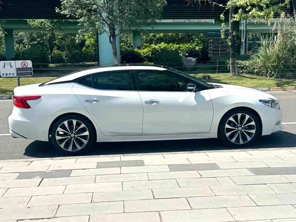 Nissan Cima — миниатюра 24