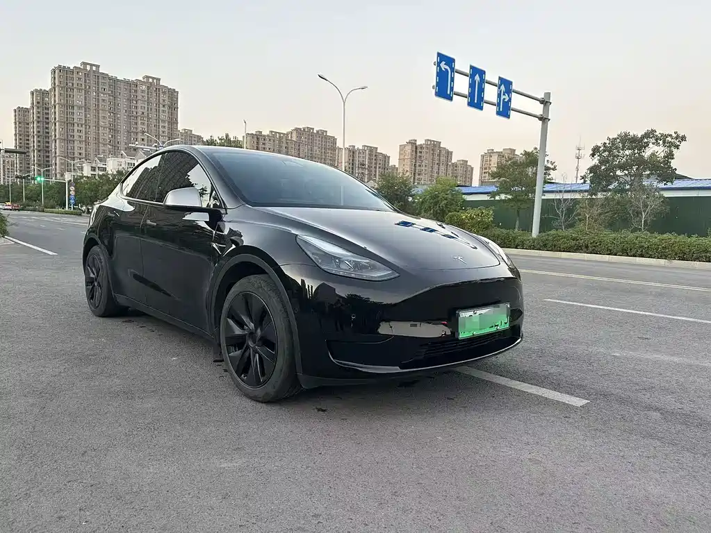 Tesla Model Y — миниатюра 5