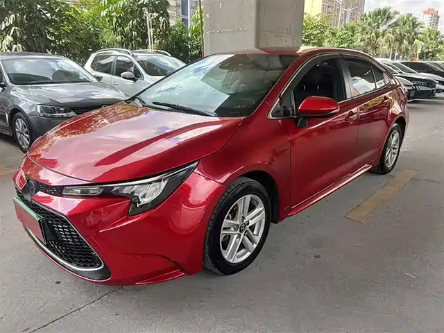 TOYOTA LEI LING 2019