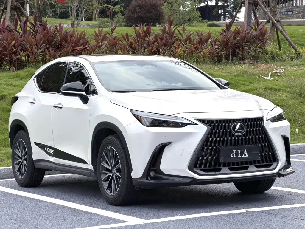 Lexus NX — миниатюра 2