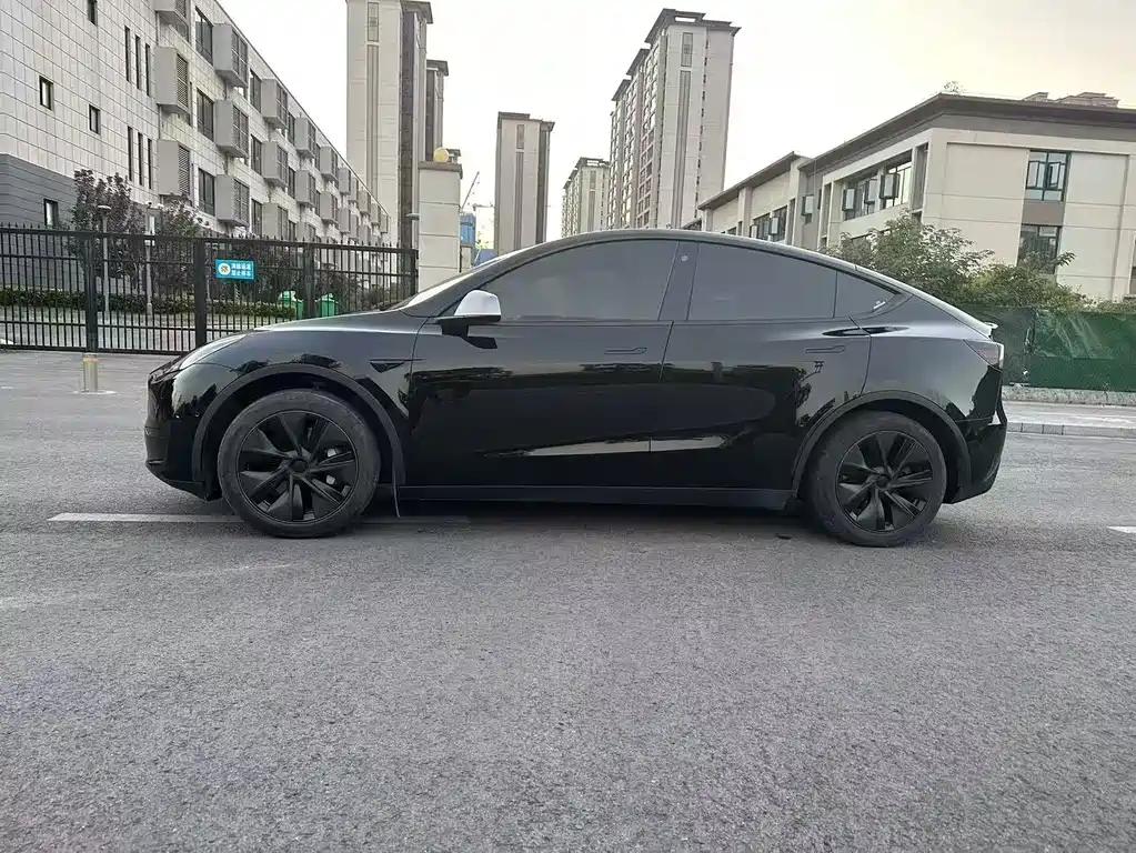 Tesla Model Y — миниатюра 7