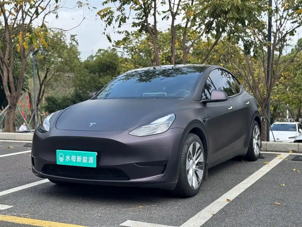 TESLA MODEL Y