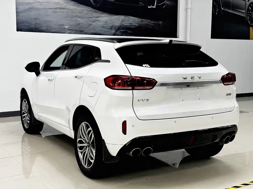 WEI PAI WEI BRAND VV5