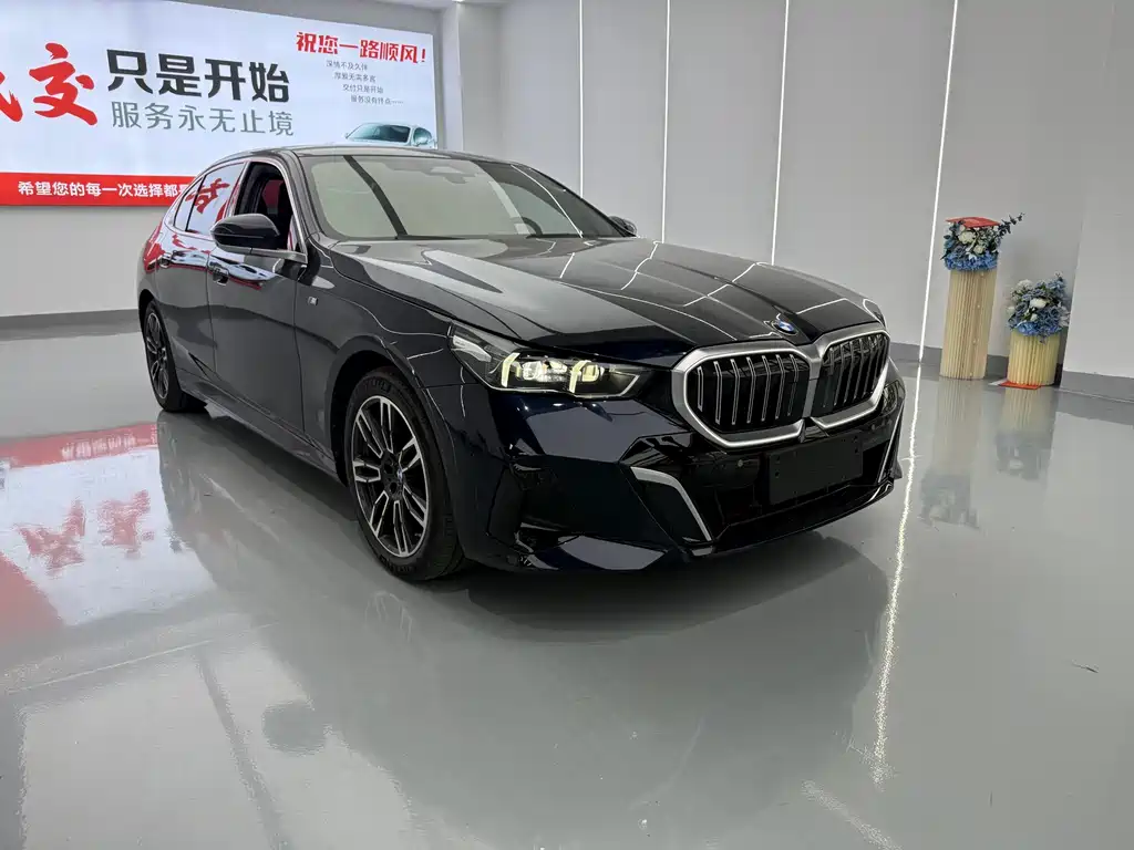 BMW 5 Series — миниатюра 3
