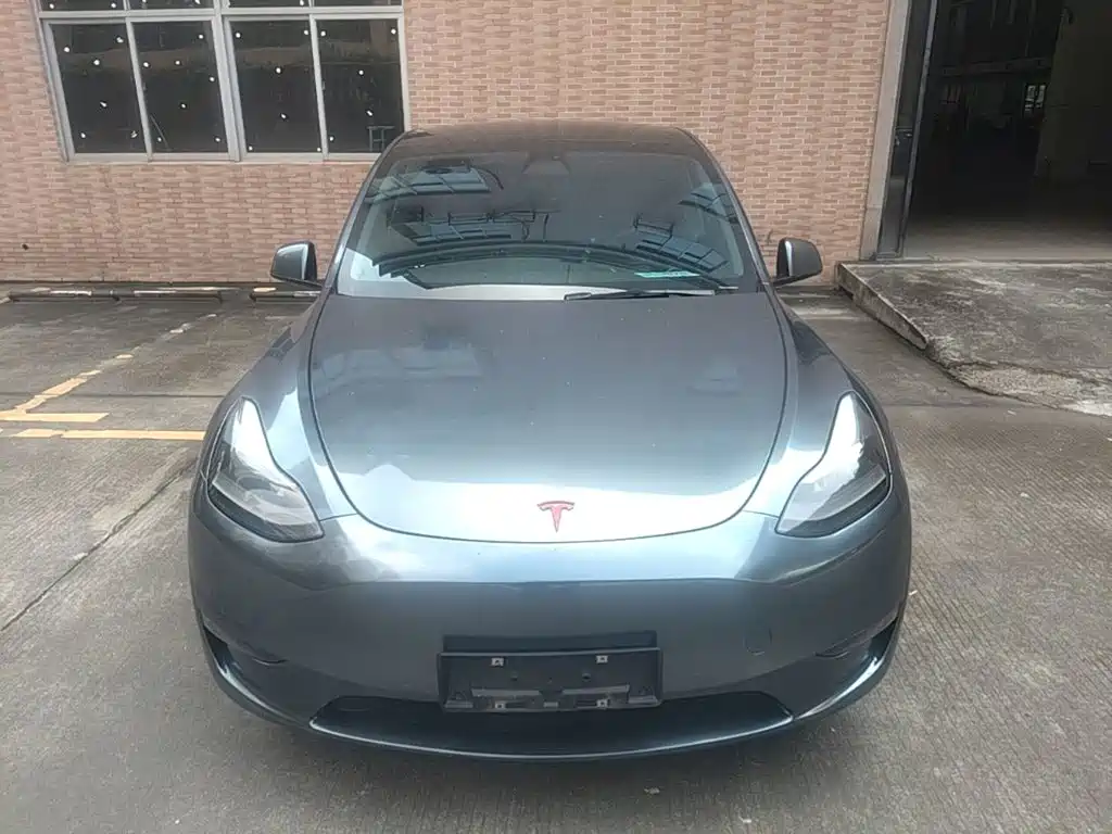 Tesla Model Y — миниатюра 3