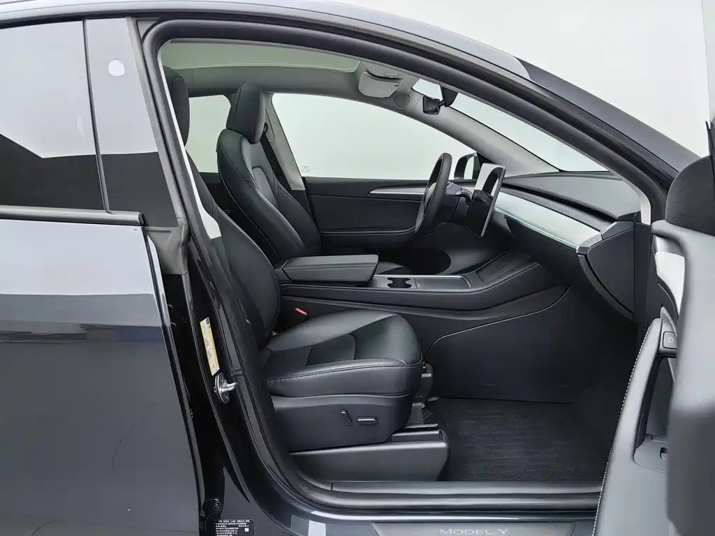 Tesla Model Y — миниатюра 23