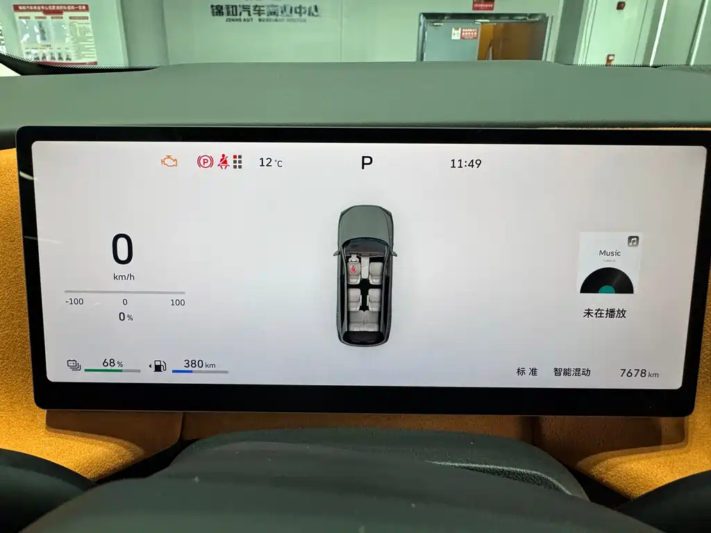 WEI PAI WEI BRAND BLUE MOUNTAIN