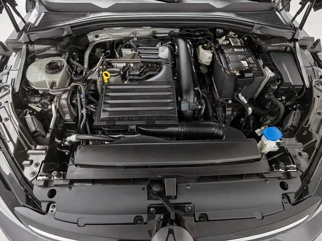 Volkswagen Lamando — миниатюра 6