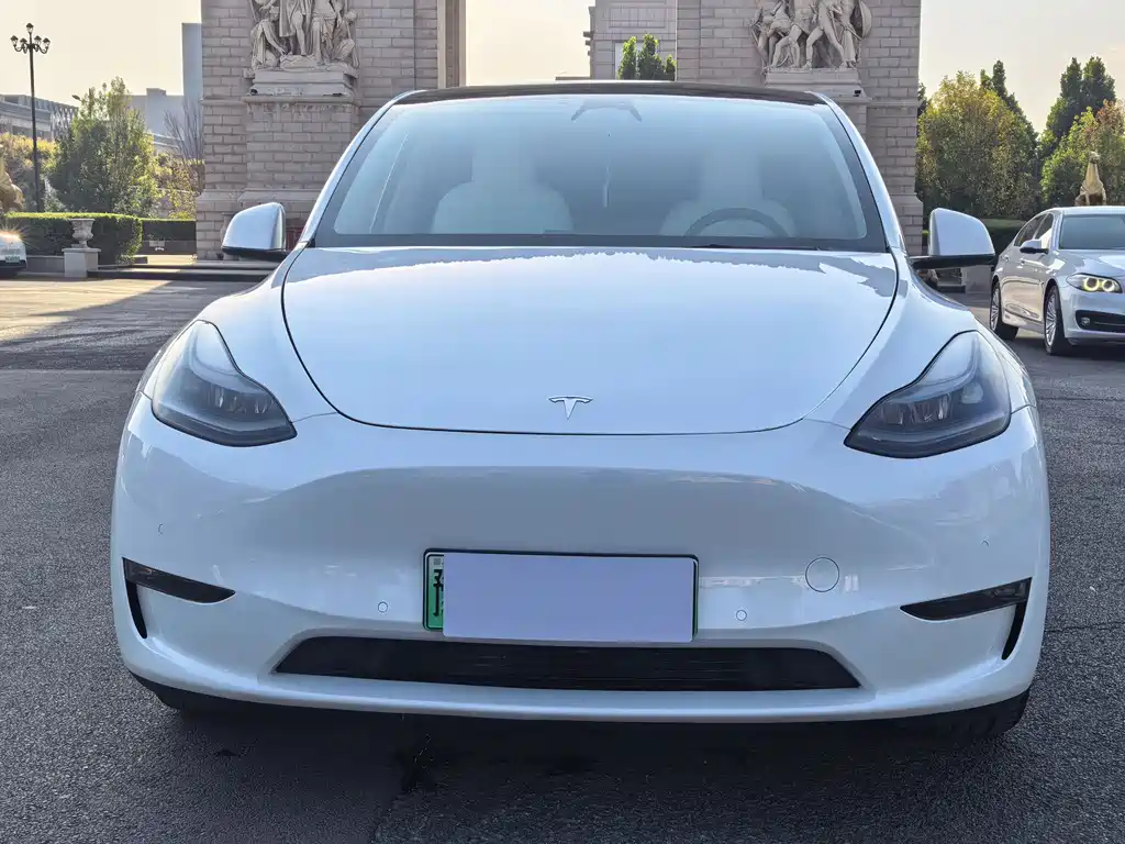 Tesla Model Y — миниатюра 2