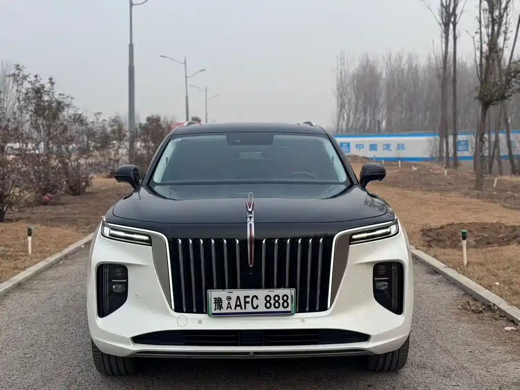 Hongqi HONGQI E HS9