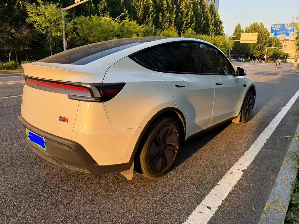 Tesla Model Y — миниатюра 8