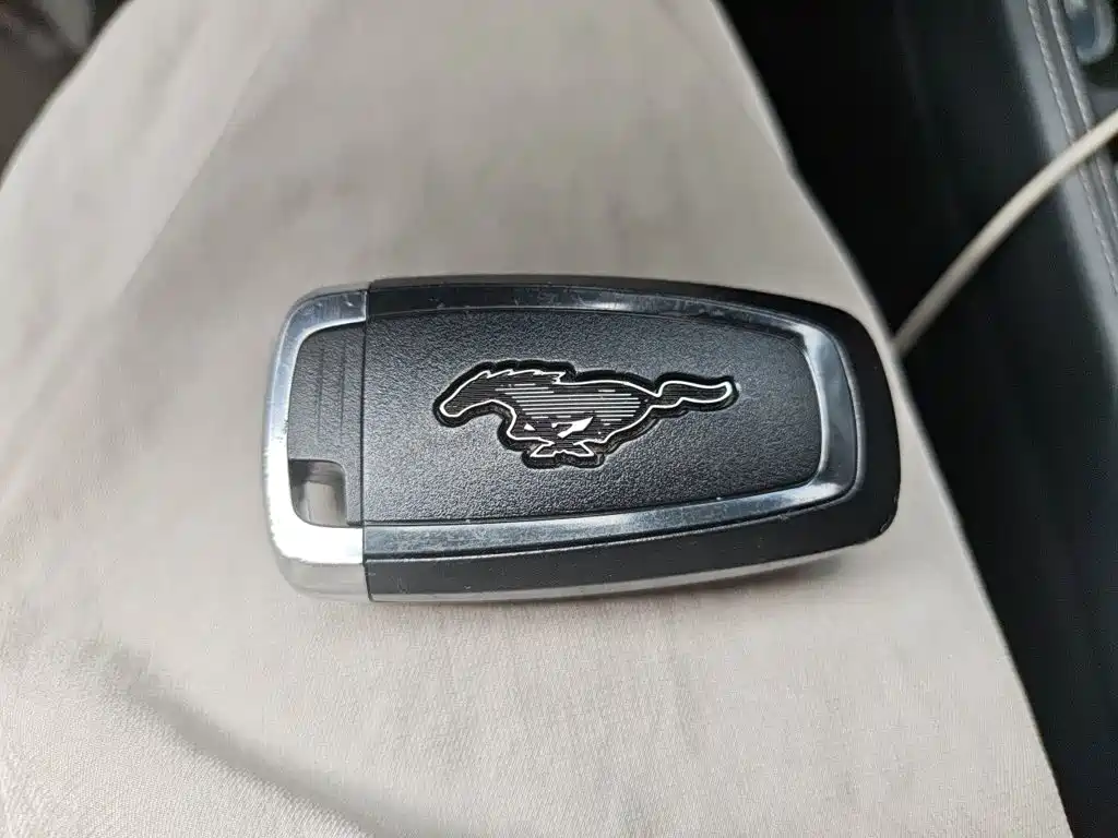 Ford Mustang Mach-E — миниатюра 12