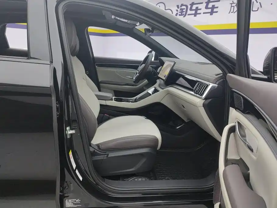 BYD PLUS New Energy — миниатюра 8