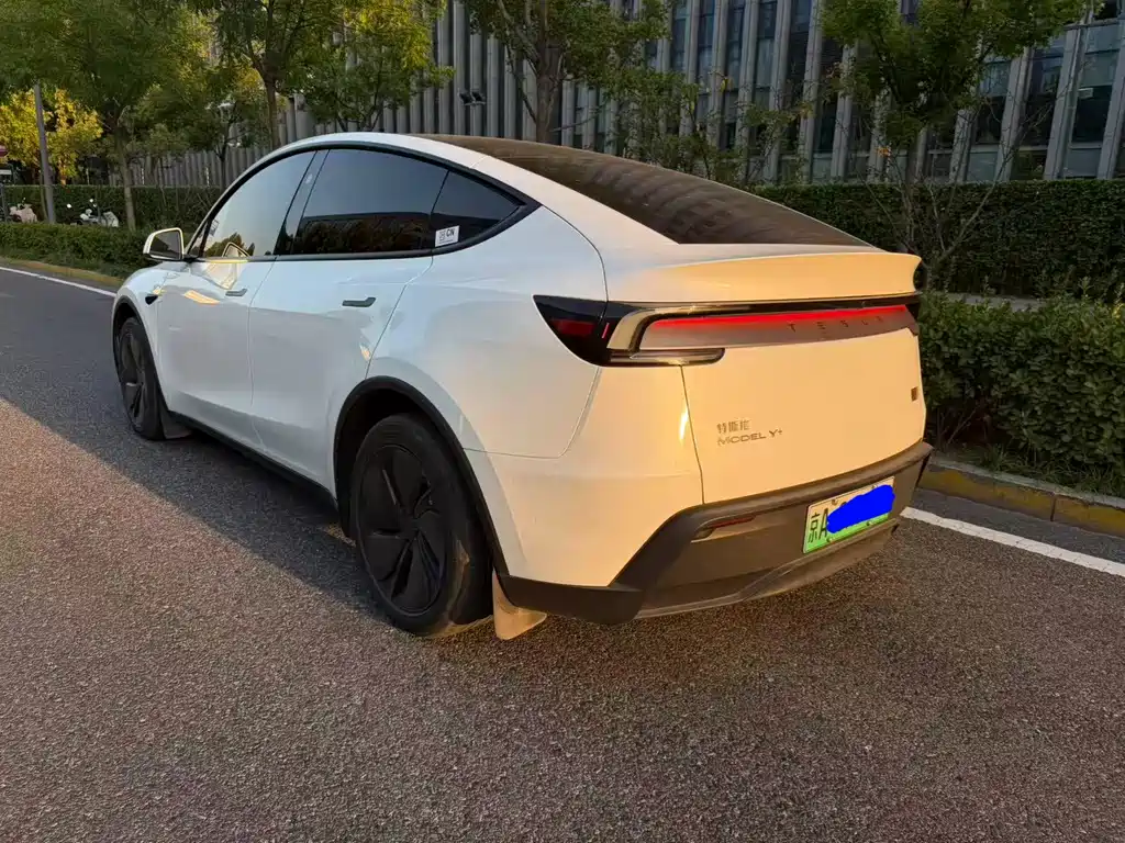 Tesla Model Y — миниатюра 7