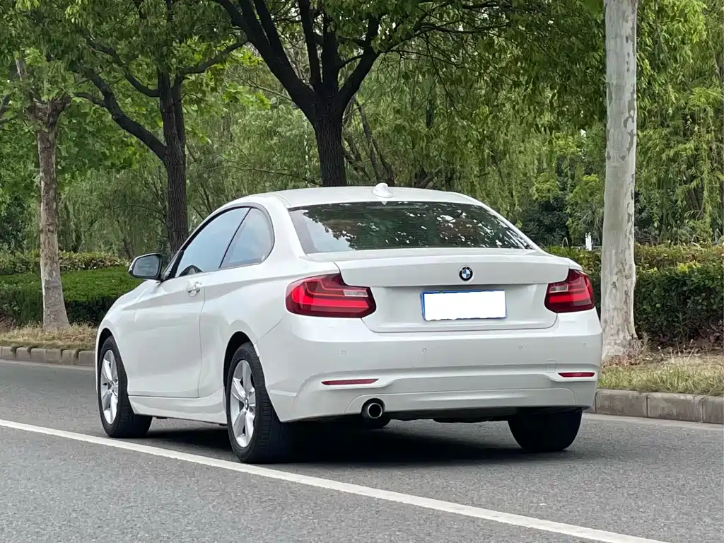 BMW 2 Series 2 2014 220i Lead