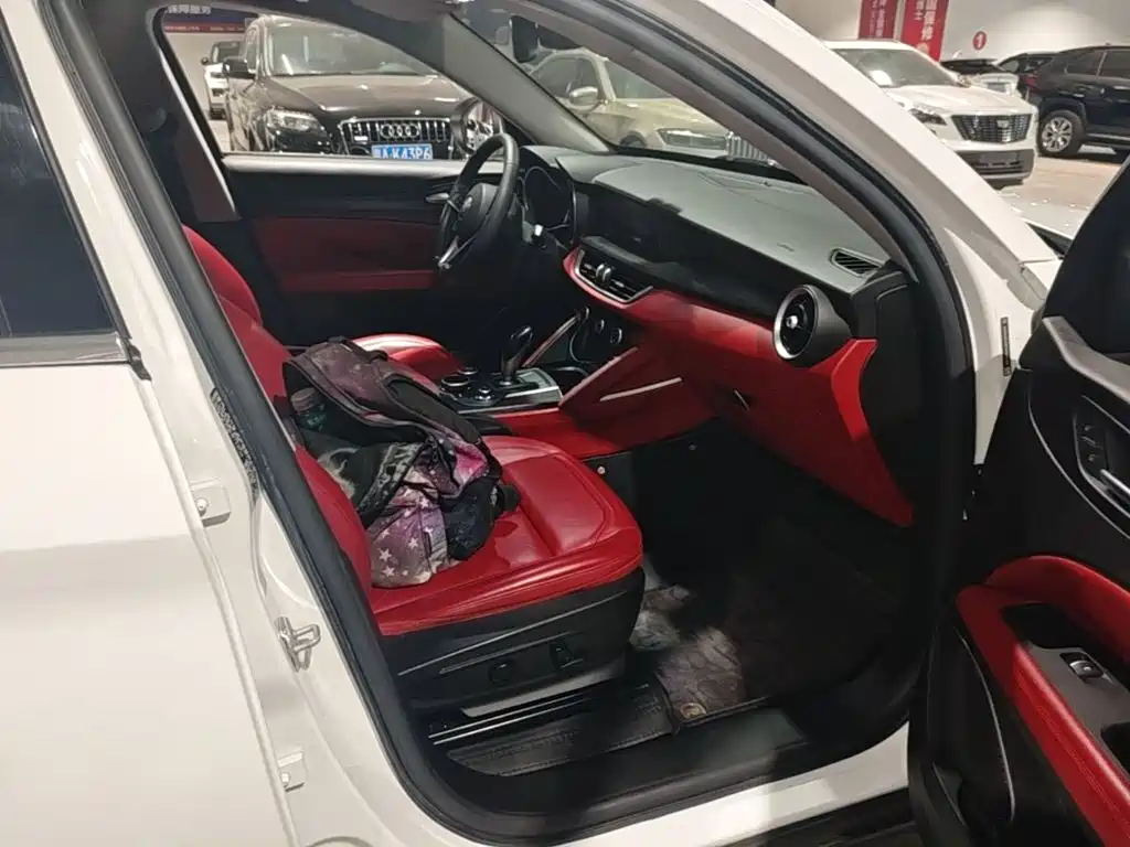 Alfa Romeo Stelvio — миниатюра 25