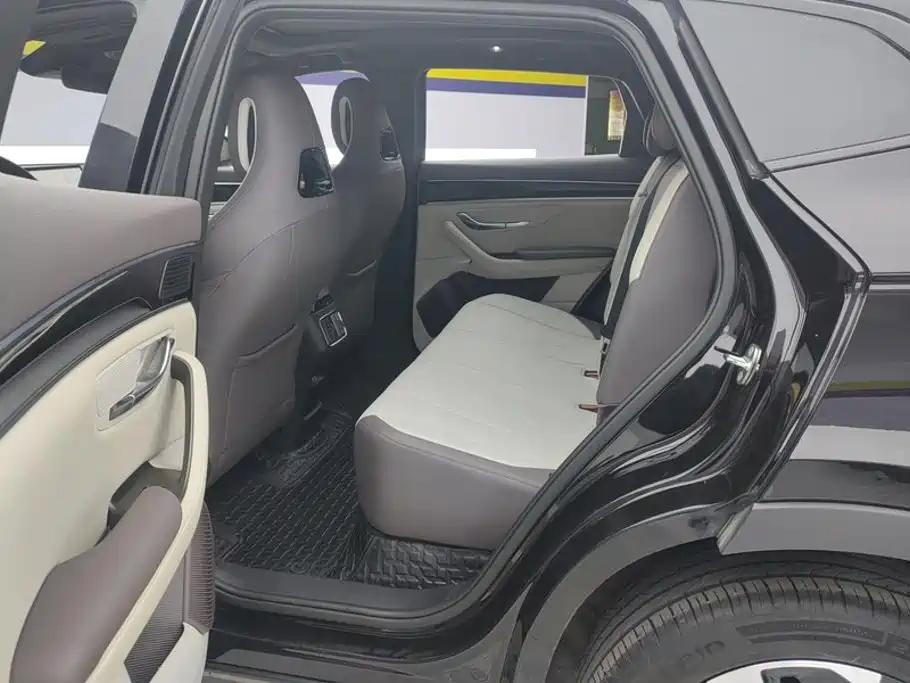 BYD PLUS New Energy — миниатюра 11