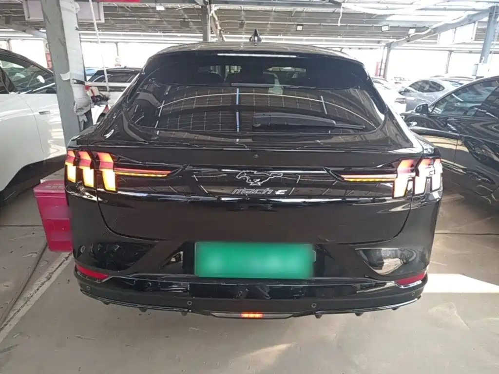 Ford Mustang Mach-E — миниатюра 6