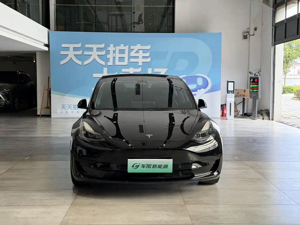 Tesla Model 3 — миниатюра 2