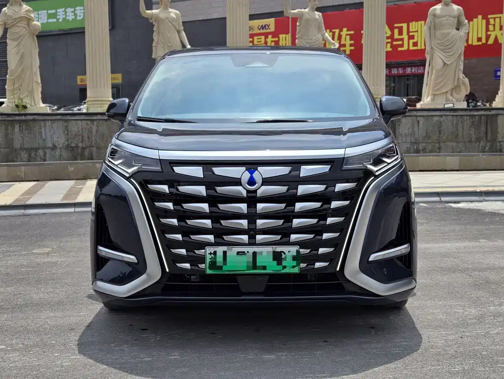 DENZA  D9