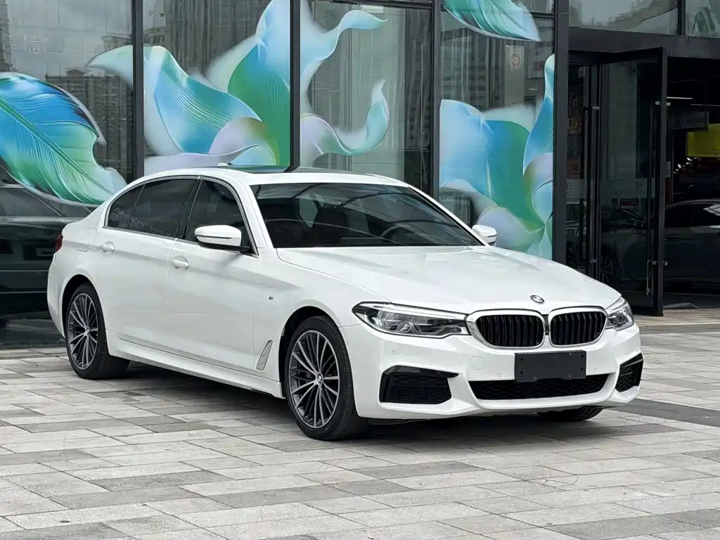 BMW 5 Series — миниатюра 5