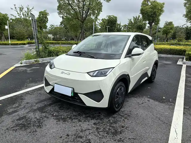 BYD SEAGULL 2025