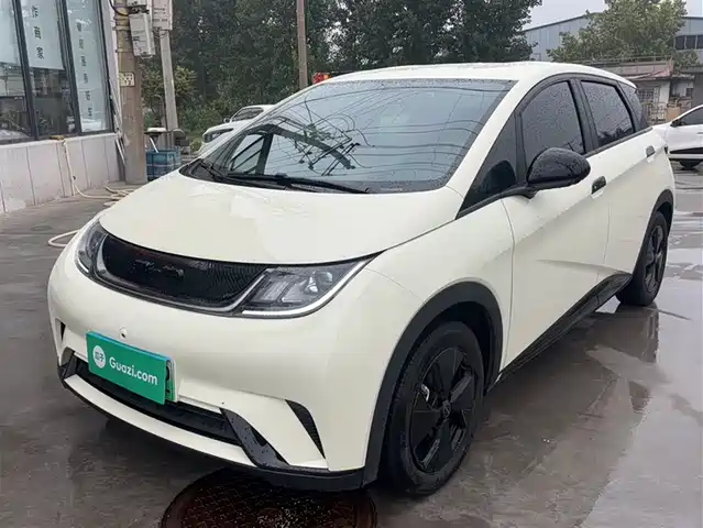 BYD DOLPHIN 2024