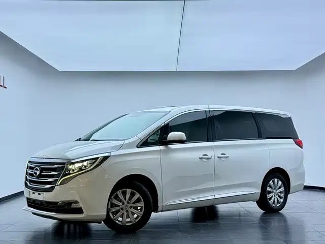 2018 GAC Trumpchi M8