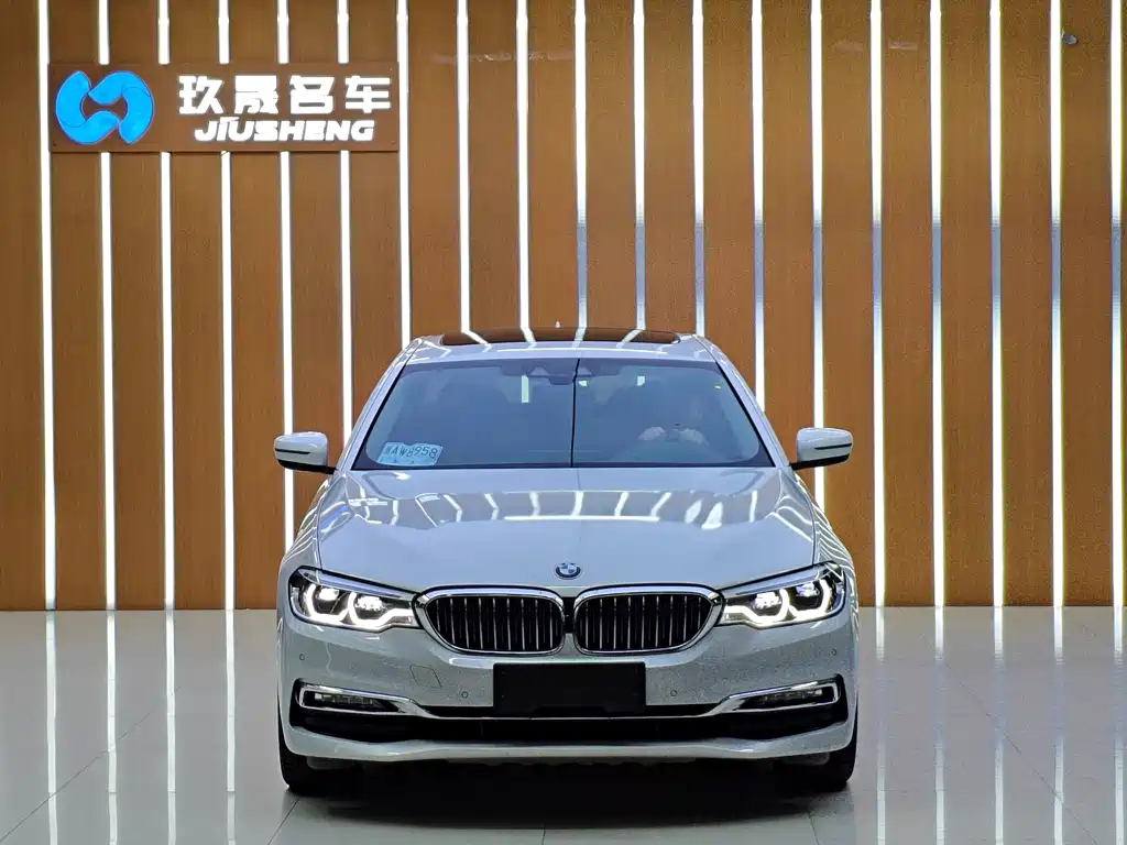 BMW 5 Series New Energy — миниатюра 5