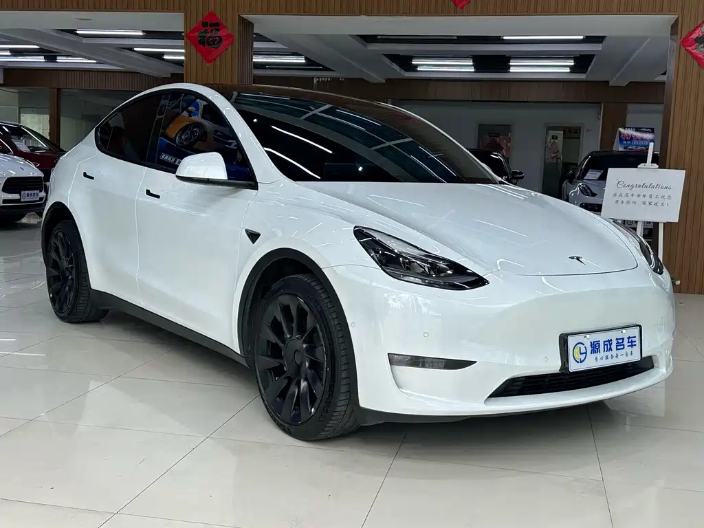 Tesla Model Y — миниатюра 4