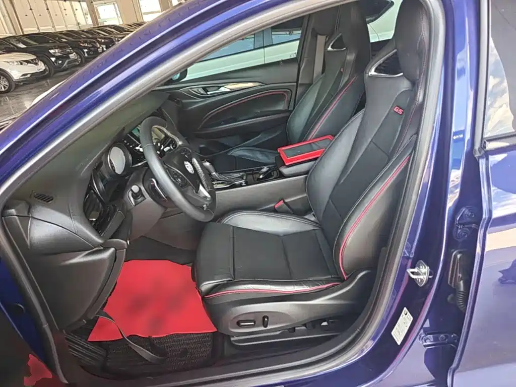 Buick Regal — миниатюра 15