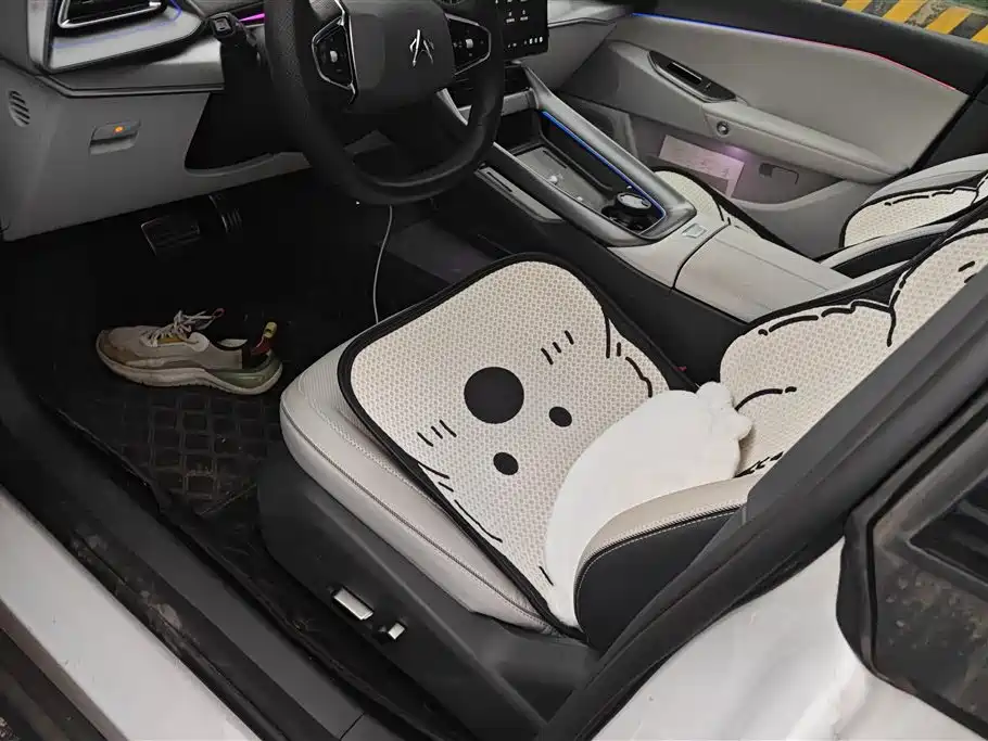 ARCFOX EXTREME FOX POLAR FOX ALPHA S5