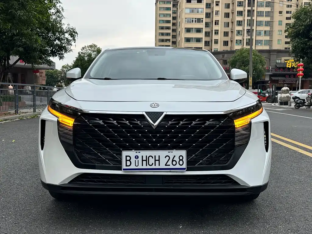 Venucia V — миниатюра 2