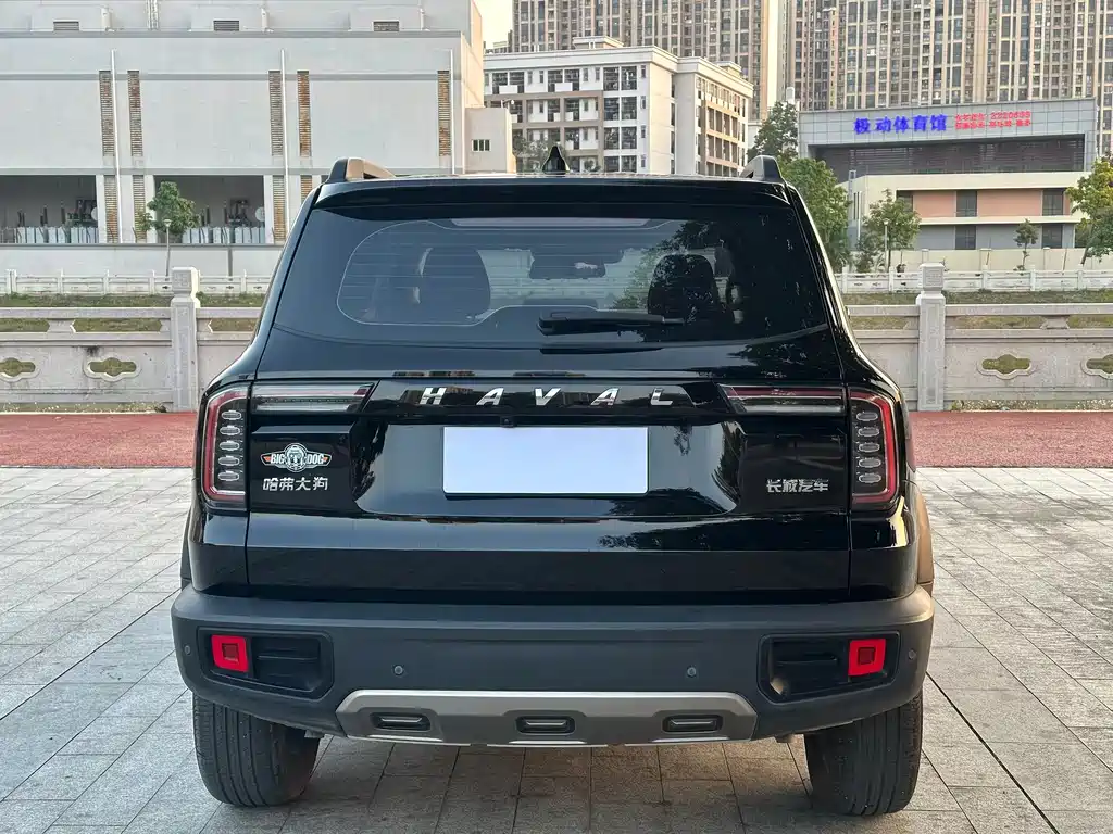HAVAL BIG DOG