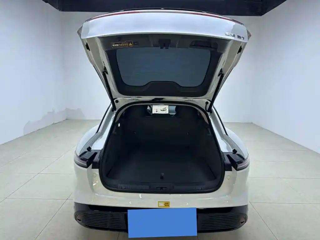 Fengxing Xinghai S7 — миниатюра 9