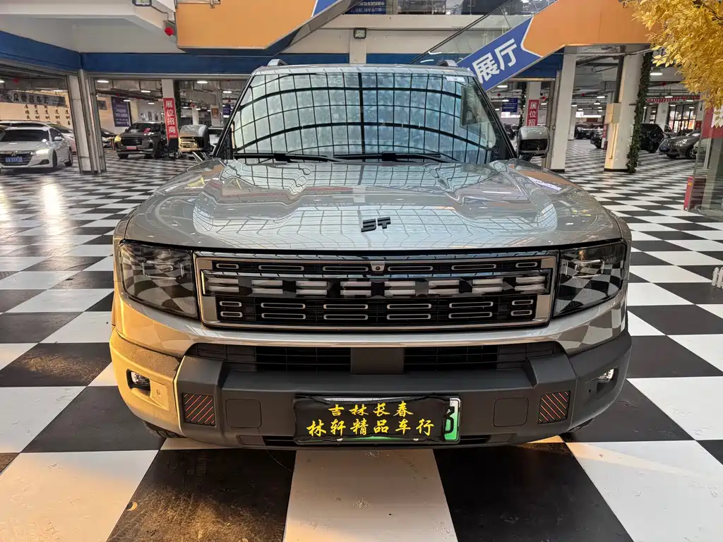 Shanhai Shanhai T1 — миниатюра 2