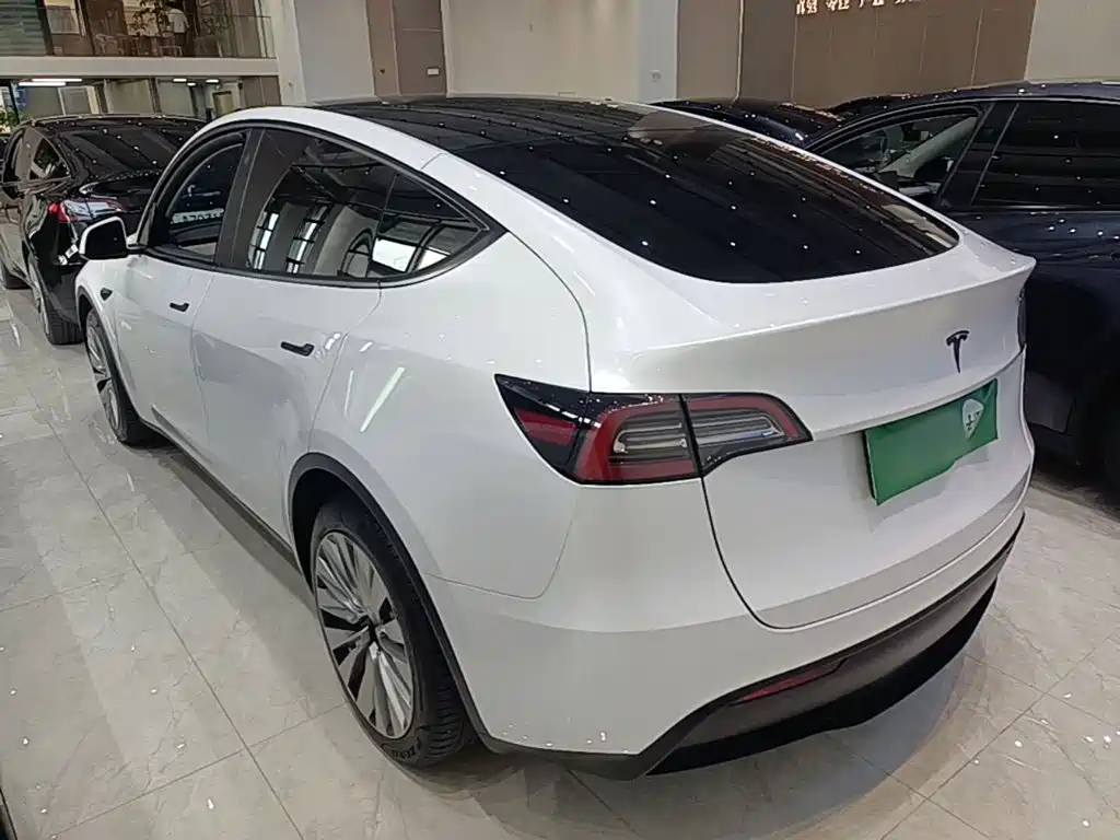 Tesla Model Y — миниатюра 5